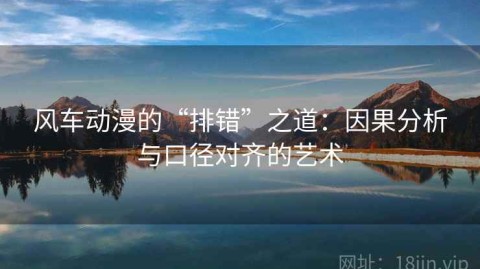 风车动漫的“排错”之道：因果分析与口径对齐的艺术