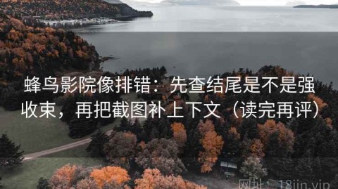 蜂鸟影院像排错：先查结尾是不是强收束，再把截图补上下文（读完再评）