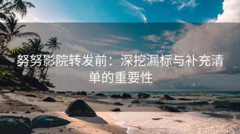 努努影院转发前：深挖漏标与补充清单的重要性
