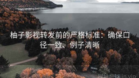 柚子影视转发前的严格标准：确保口径一致、例子清晰