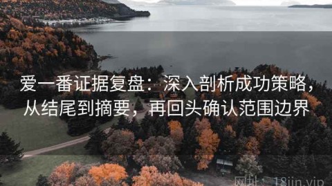 爱一番证据复盘：深入剖析成功策略，从结尾到摘要，再回头确认范围边界