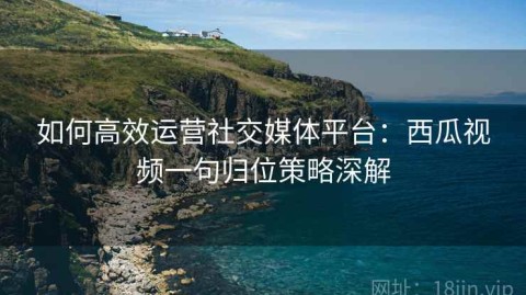 如何高效运营社交媒体平台：西瓜视频一句归位策略深解