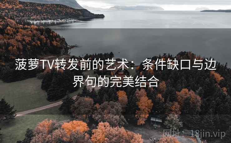 菠萝TV转发前的艺术:条件缺口与边界句的完美结合 菠萝TV转发前的艺术:条件缺口与边界句的完美结合