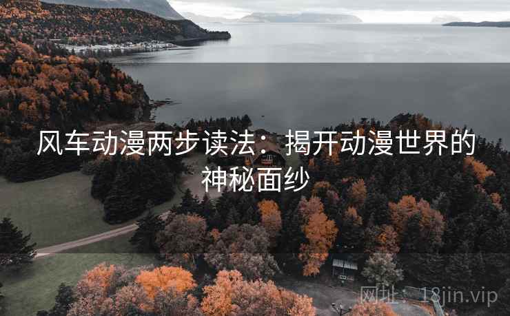 风车动漫两步读法：揭开动漫世界的神秘面纱