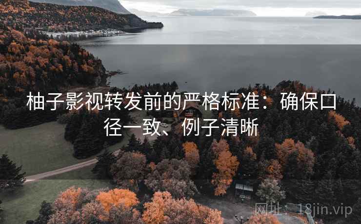 柚子影视转发前的严格标准：确保口径一致、例子清晰