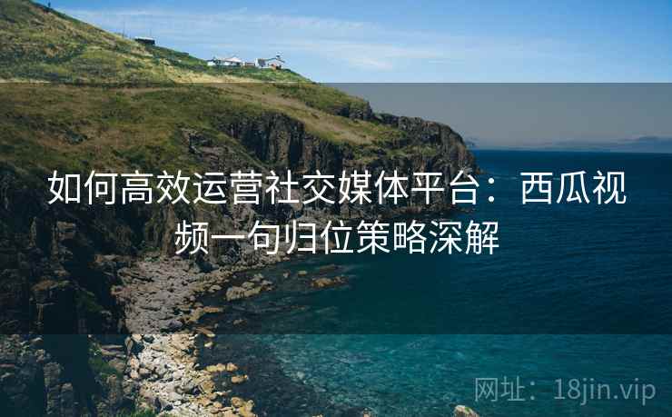如何高效运营社交媒体平台：西瓜视频一句归位策略深解