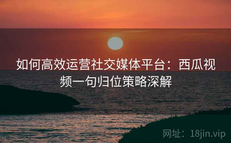 如何高效运营社交媒体平台：西瓜视频一句归位策略深解